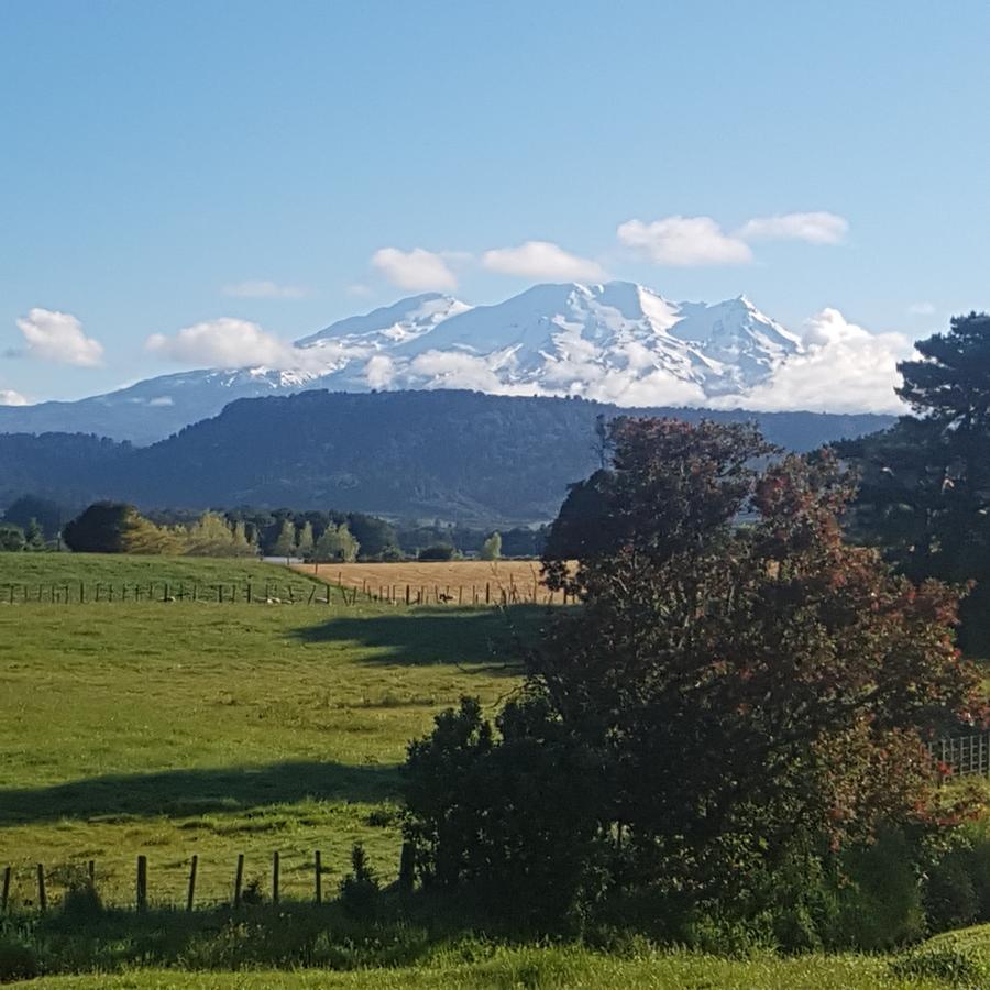 Beech Tree Lodge Ohakune Exterior photo