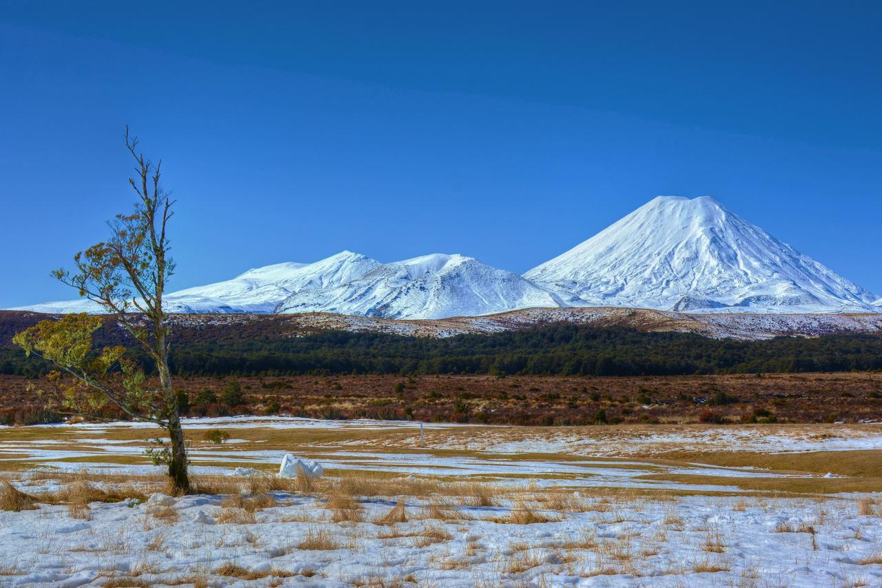 Beech Tree Lodge Ohakune Exterior photo